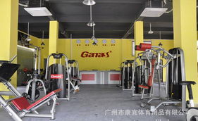 广州康宜健身车工厂 家用迷你健身车，开启您的居家健身与休闲新生活